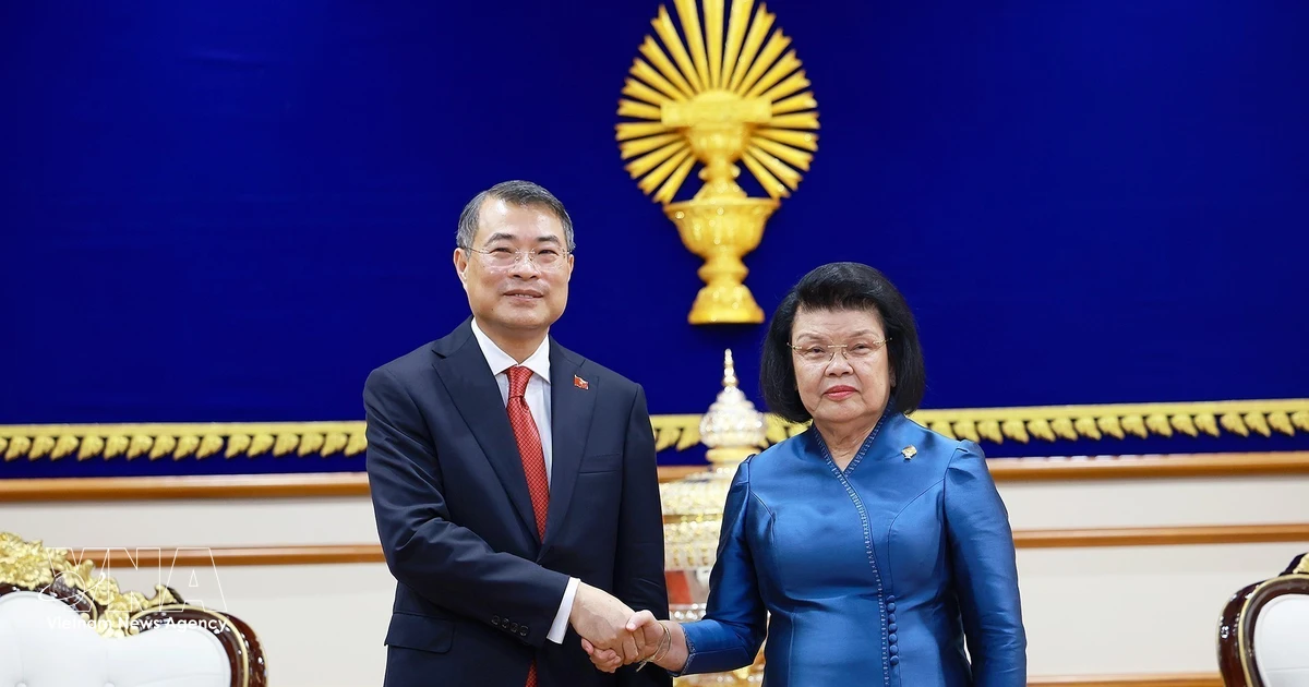 Vietnamese Prime Minister meets Cambodian National Assembly President