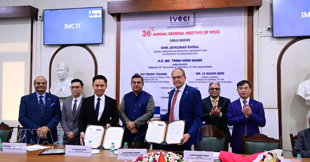 Vietnam, India move to deepen business, e-commerce connectivity
