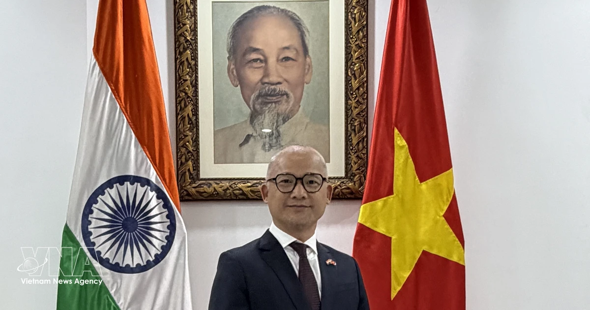 Vietnam promotes role as BRICS’ partner: ambassador