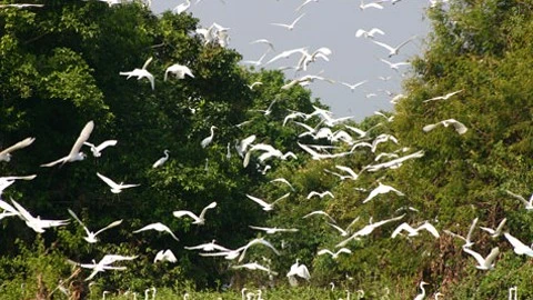Cambodia ranks first in Southeast Asia for ecotourism