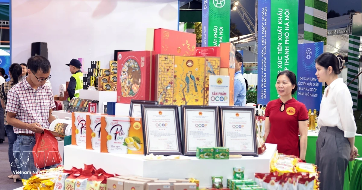Vietnamese community seeks greater connection role in Vietnam-Mongolia ties