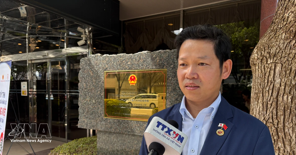 OVs can become substantive economic bridges between Vietnam, Japan: expert