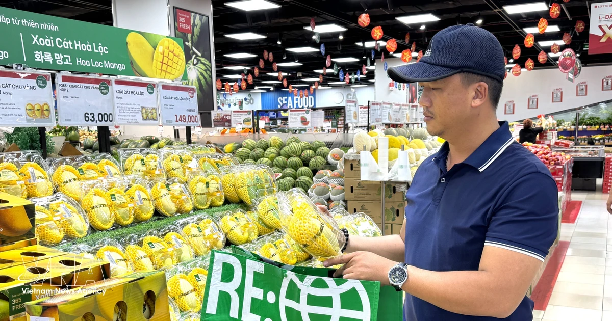 Vietnam’s green push hinges on making eco-friendly goods affordable — Eco & Sustainability