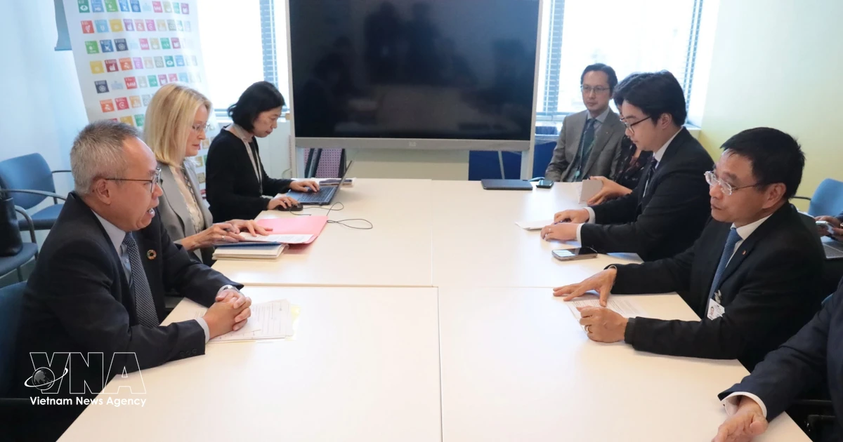 UN prioritises comprehensive cooperation with Vietnam