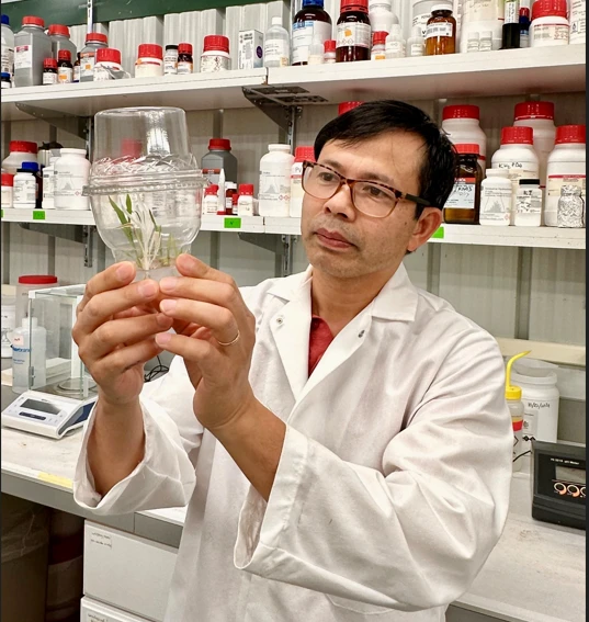 Expert suggests pathways for Vietnam to make breakthroughs in plant biotechnology