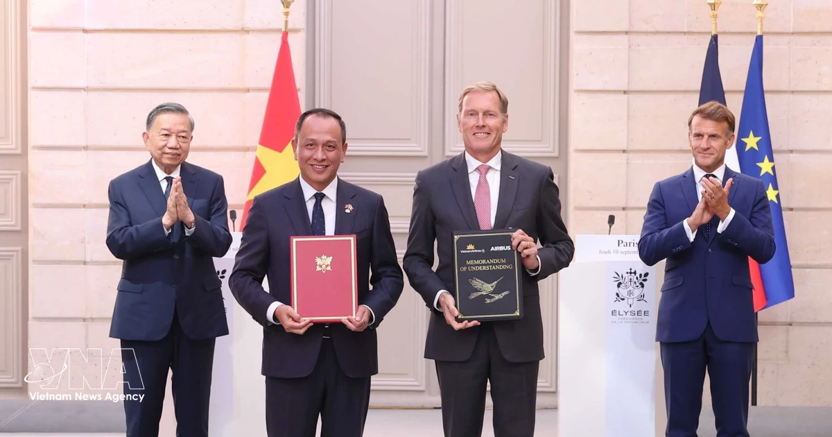 Vietnamese, French leaders witness exchange of cooperation documents