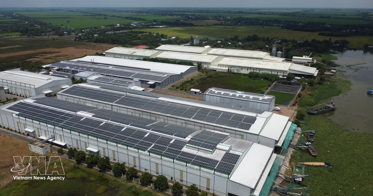 Rooftop solar power helps businesses go green