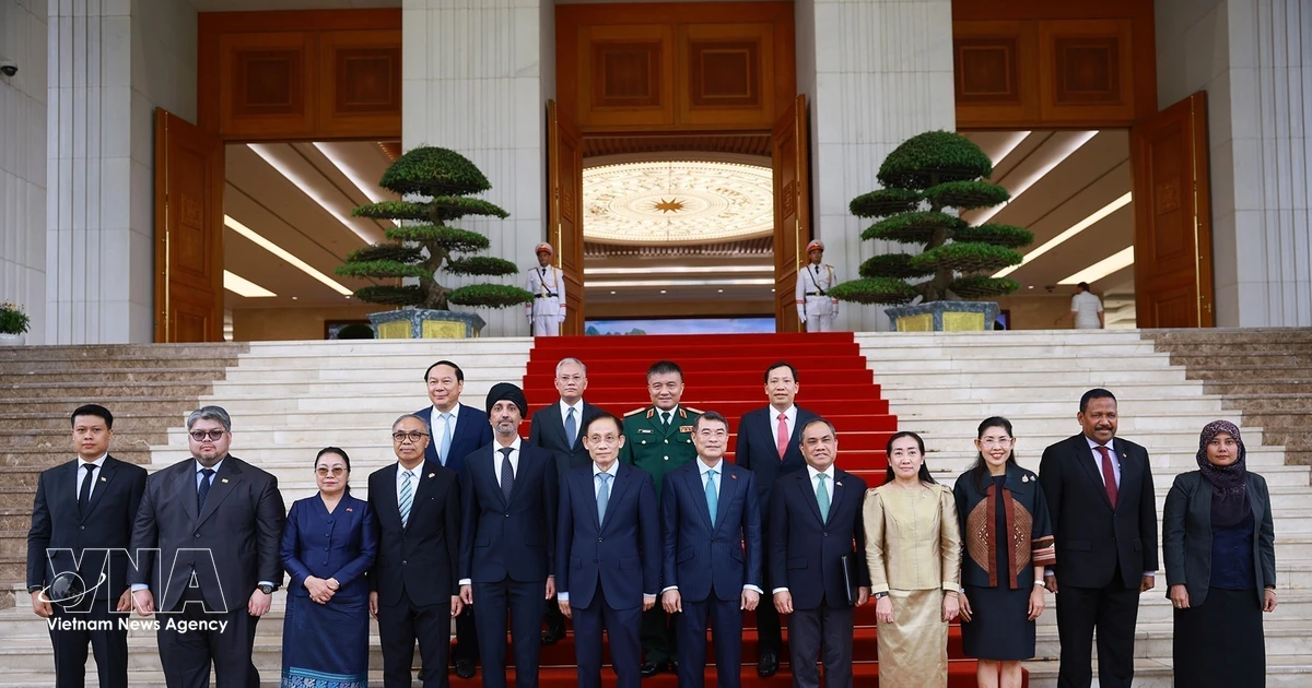 Vietnam to continue substantive contributions to ASEAN cooperation: PM