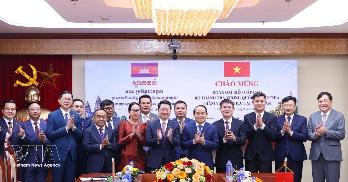 Vietnamese, Cambodian inspectors reinforce collaboration