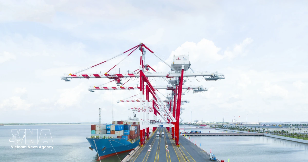Logistics reform key to turning maritime advantages into competitiveness: insiders