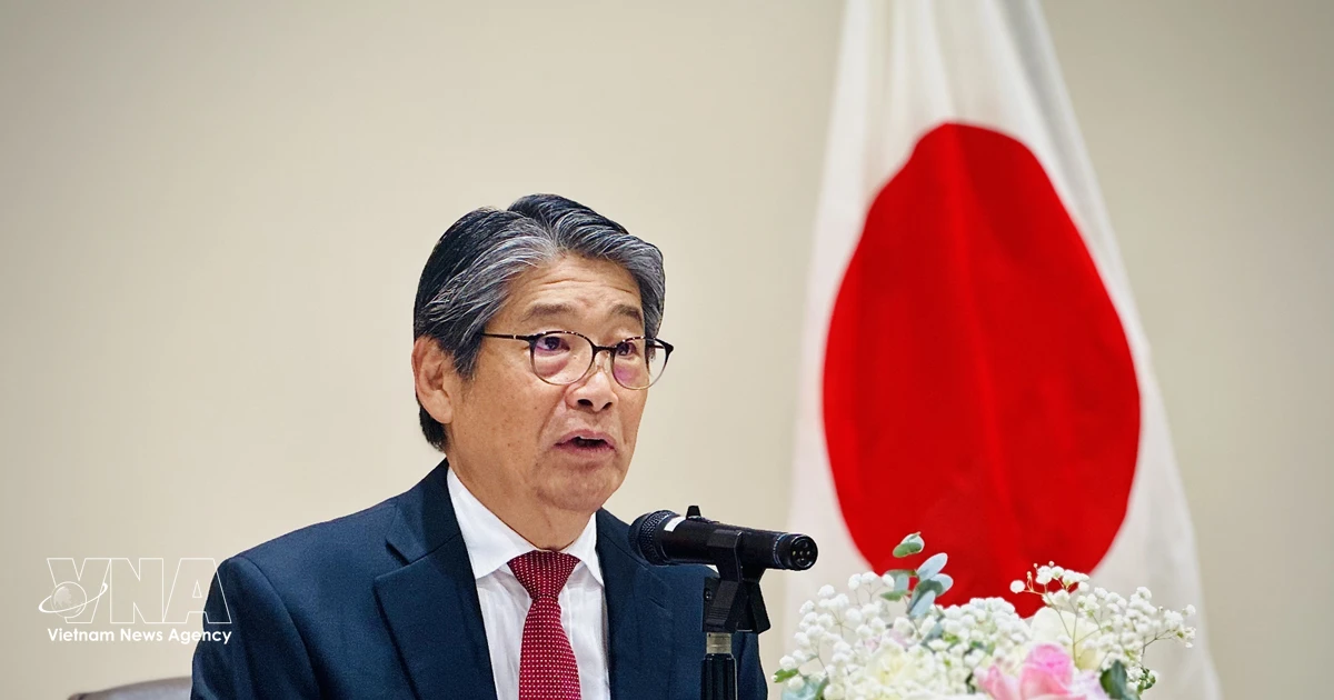 Trust remains valuable asset underpinning Vietnam-Japan Comprehensive Strategic Partnership: Ambassador