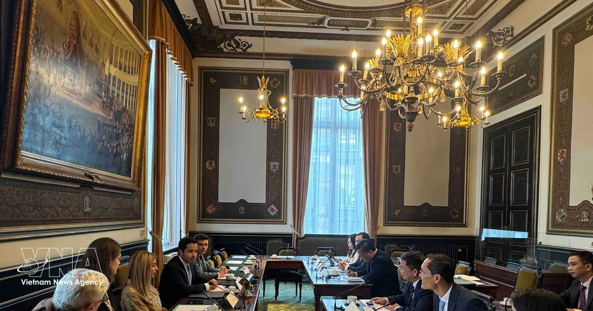 Vietnam, Belgium share experience in addressing pressing policy issues