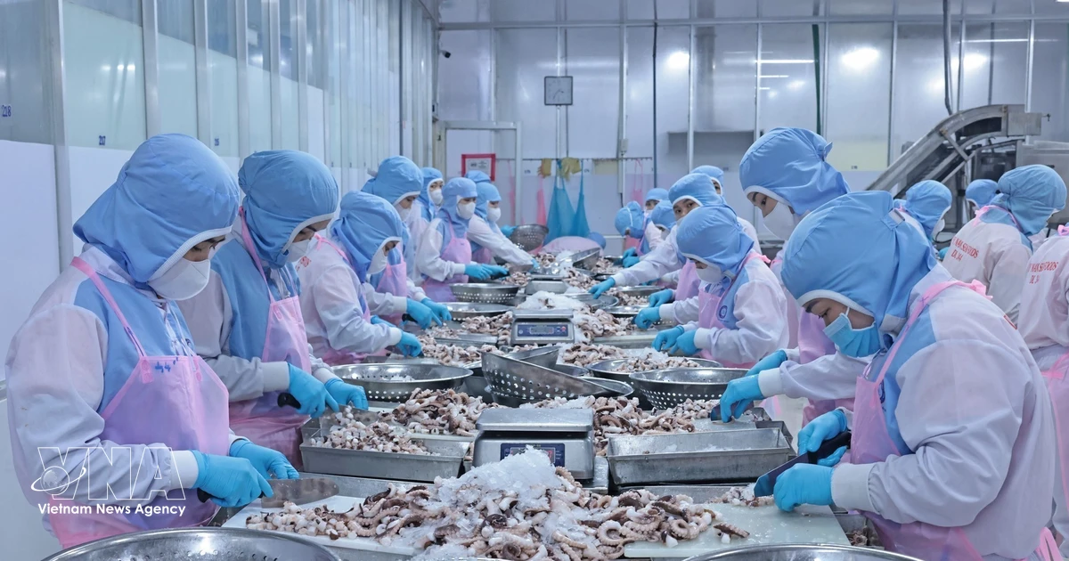 New opportunities for Vietnam’s seafood exports