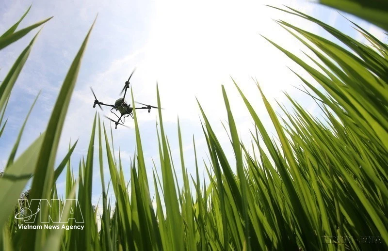 Greening agriculture through low-emission crop production