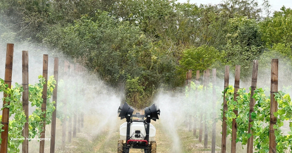 China, Vietnam see broad scope for high-tech agricultural cooperation: scholar