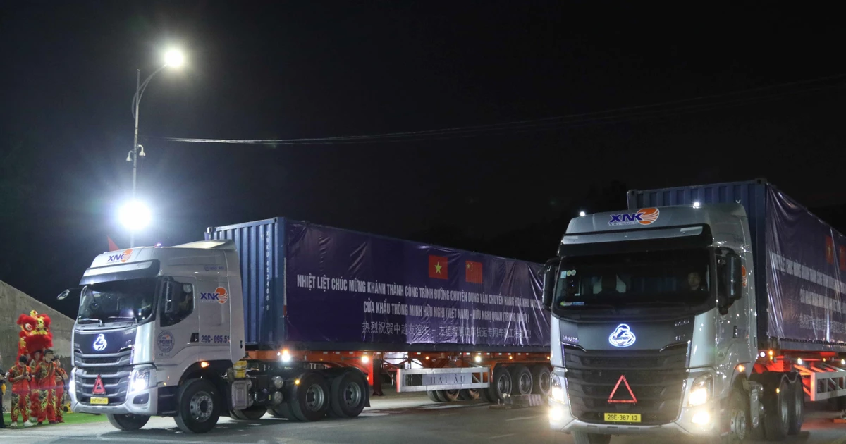 Vietnam, China open new specialised cargo route to boost cross-border trade