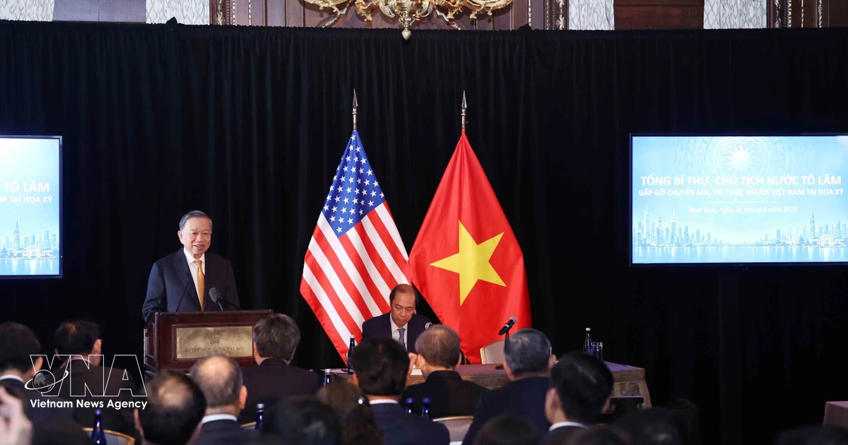 Expert suggests harnessing Vietnamese intellectual resources in US for national development