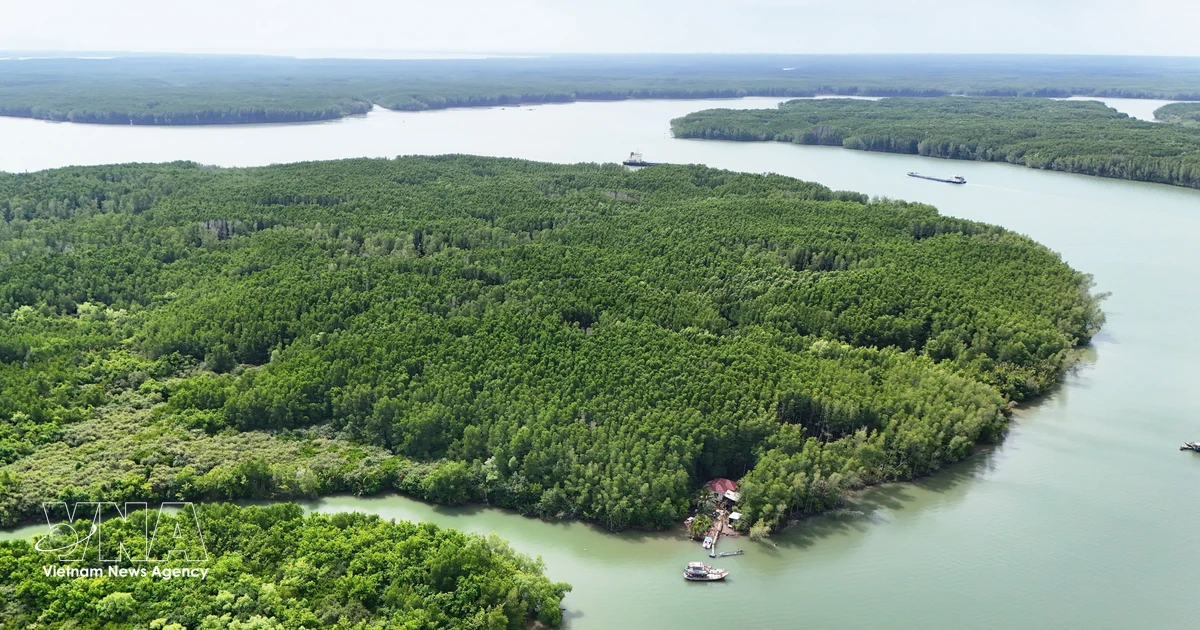 Vietnam eyes link between green credit and carbon market to unlock funding