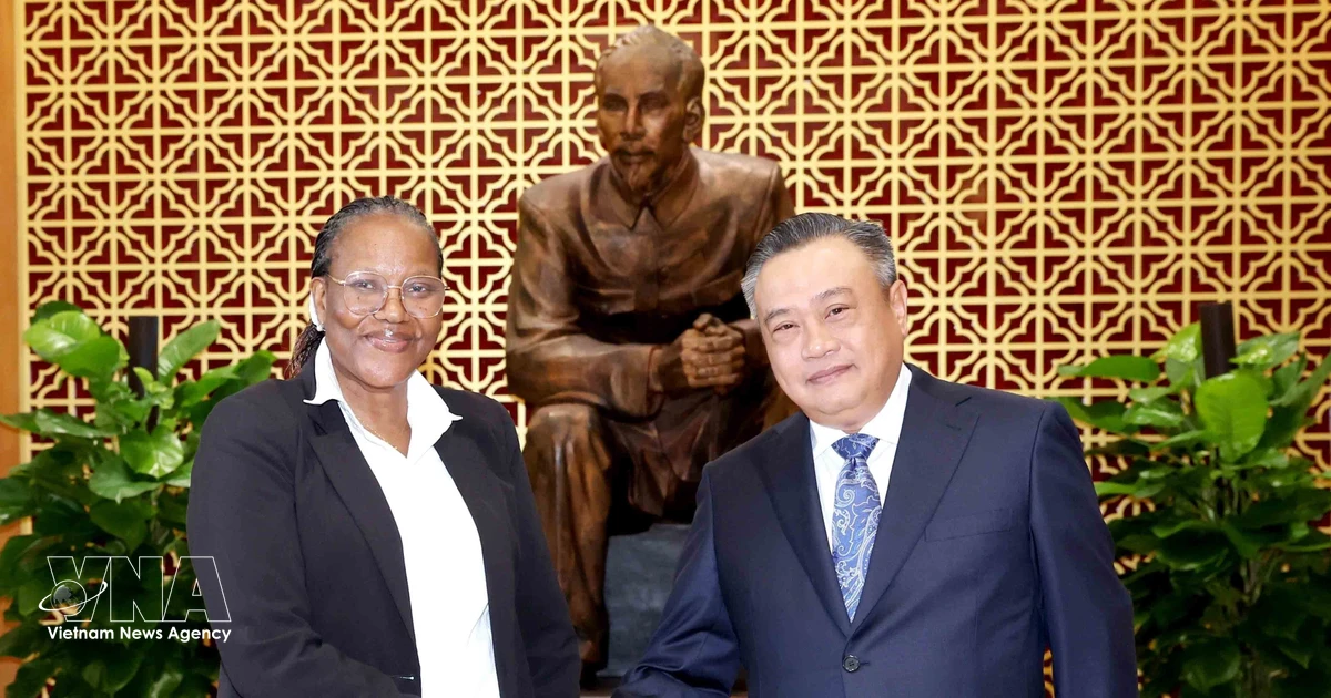 Vietnam shares inspection experience with FRELIMO Party delegation