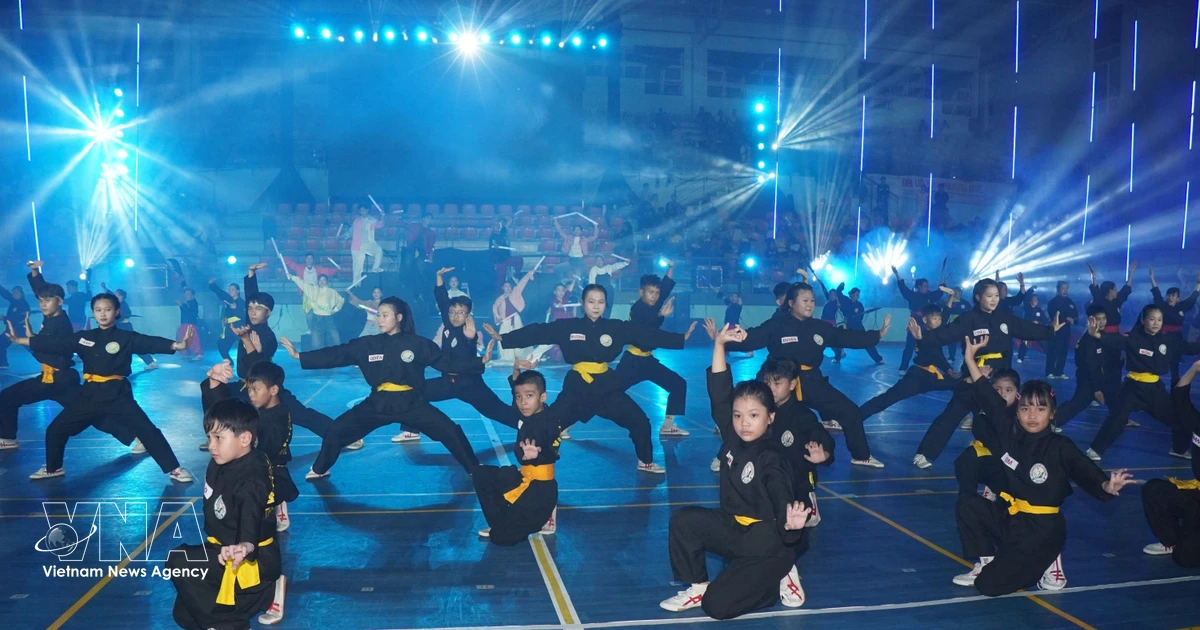 Vietnam’s traditional martial arts showcased at Italy 2026 event