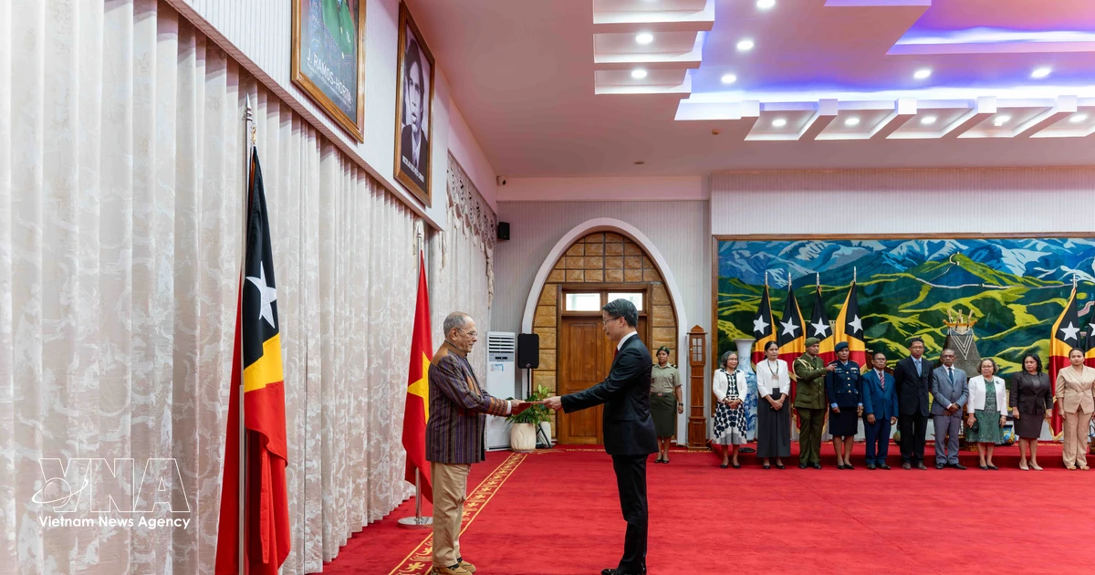 Vietnam’s first resident ambassador to Timor-Leste presents credentials