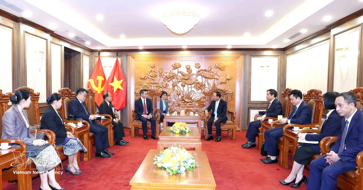 Vietnamese, Laos Party bodies step up coordination in combating misinformation in digital environment