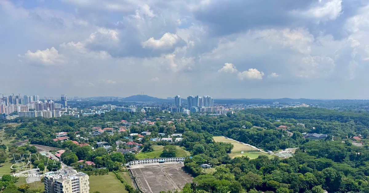 Singapore strives to preserve essential green spaces