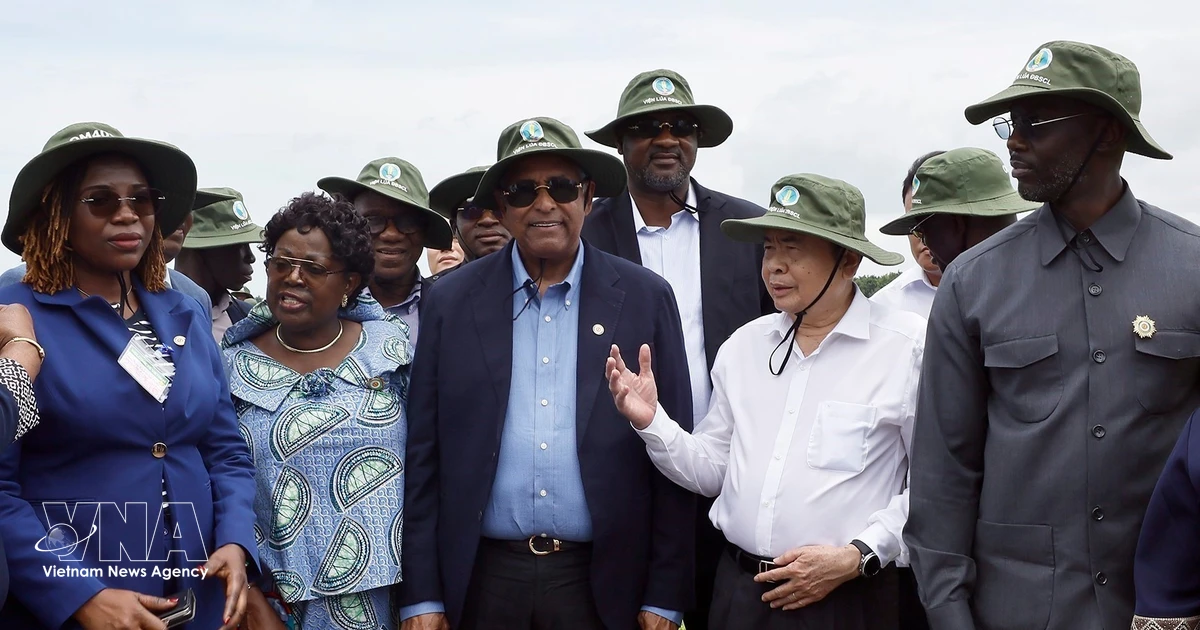 Vietnamese, Ivorian NA Presidents explore agricultural development models in Can Tho