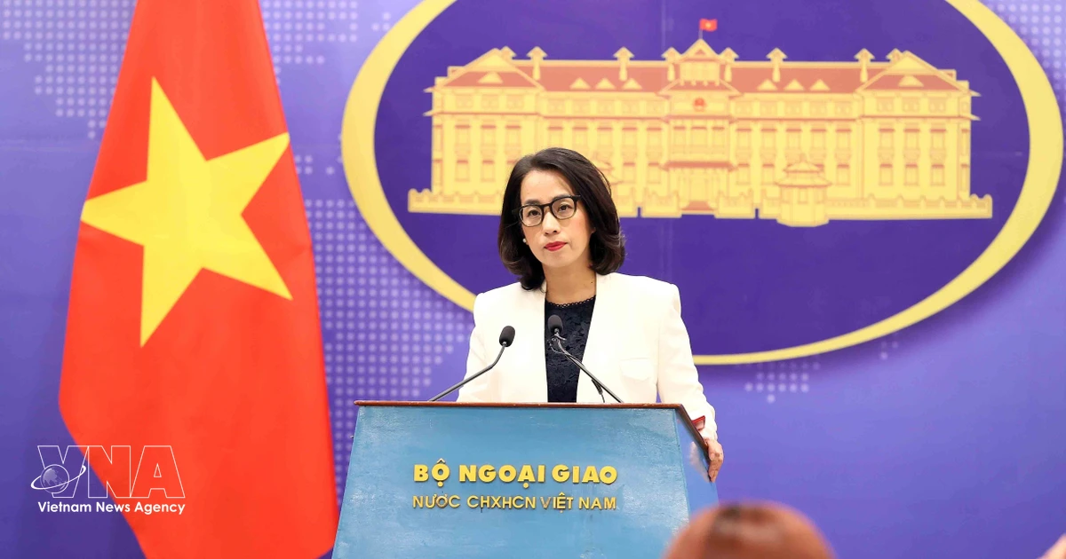 Vietnam resolved to prevent origin fraud, illegal transshipment: spokesperson