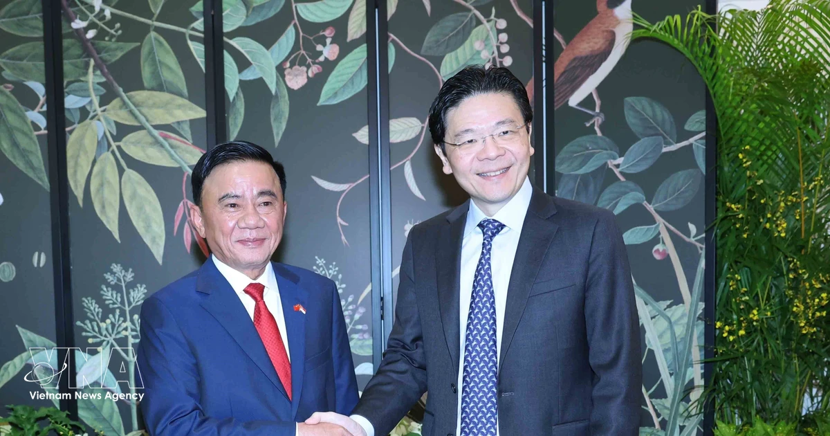 Vietnamese, Singaporean leaders agree to deepen bilateral ties