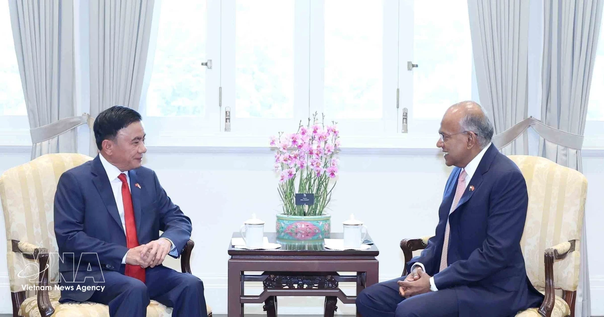 Vietnam treasures Comprehensive Strategic Partnership with Singapore: Key leader