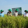 Vietnam makes strides in sustainable agricultural development