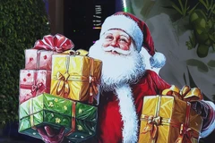 Ninh Binh glows with Christmas spirit