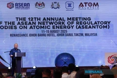 Malaysia calls for nuclear governance in ASEAN