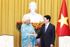Vietnam hopes for UN’s continued assistance in green transition: State leader