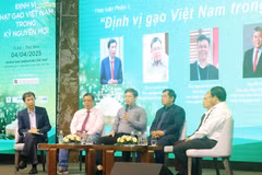 Experts at the symposium in Can Tho city (Photo: VNA)