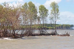 PM urges swift action to tackle threats of heavy rains, landslides, flash floods