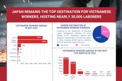 Japan remains top destination for Vietnamese guest workers