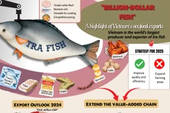 The unique values that make tra fish a bright spot in Vietnam’s exports