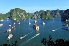 Nestled in Quang Ninh province, Ha Long Bay boasts 1,553 sq.km of stunning landscapes and 1,969 islets. (Photo: VNA)