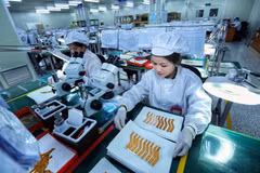 Bac Ninh ranks second nationwide in FDI attraction so far this year