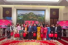 Overseas Vietnamese communities share Tet warmth