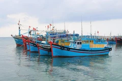 More than 3,700 fishing boats in Ben Tre province have been registered, including over 3,400 getting or renewing fishing licences. (Photo: VNA)