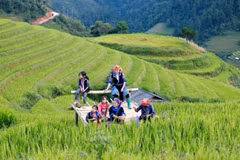 Vietnam remains in the High Human Development category