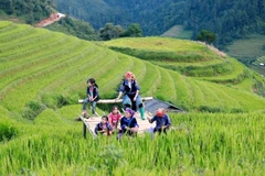Vietnam remains in the High Human Development category