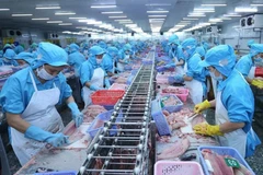 Seafood processed for export (Photo: VNA)