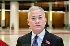 Vice Chairman of the National Assembly’s Committee on National Defence, Security, and External Affairs Don Tuan Phong (Photo: VNA)