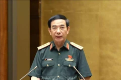 Minister of National Defence Phan Van Giang (Photo: VNA)
