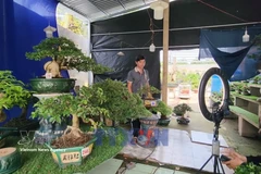 E-commerce drives agricultural expansion in Vinh Long