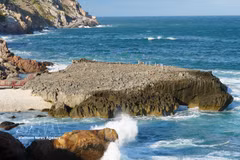 Unique natural splendour of Hang Rai in Nui Chua National Park